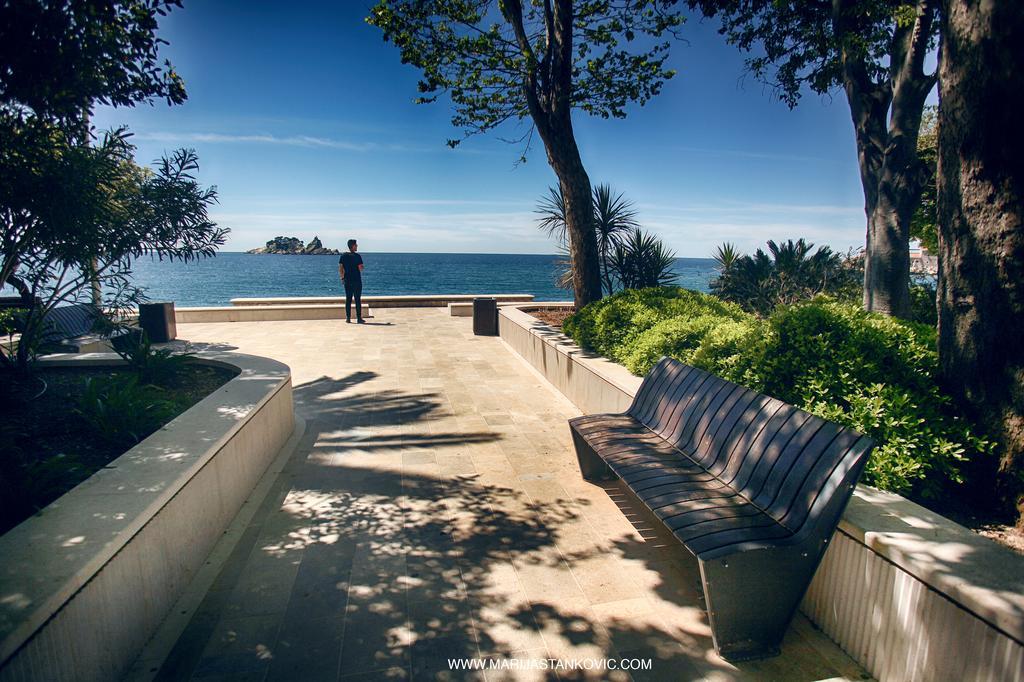 Studio Apartment Nika Andusa Petrovac Exterior photo